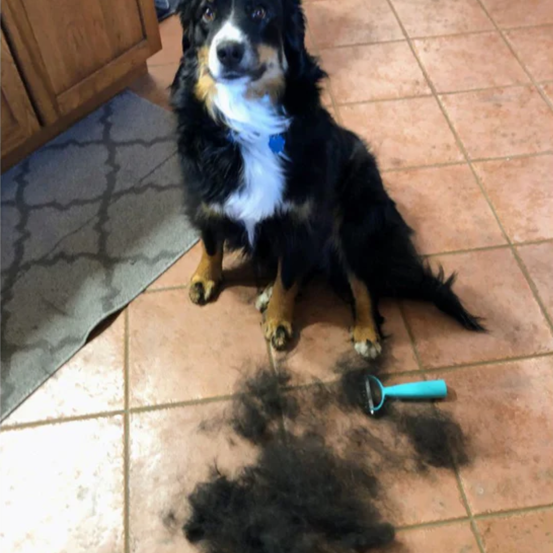 fello™ - Cat and Dog Brush