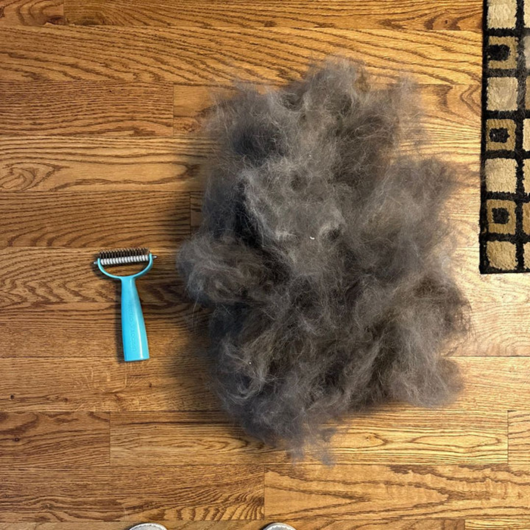 fello™ - Cat and Dog Brush